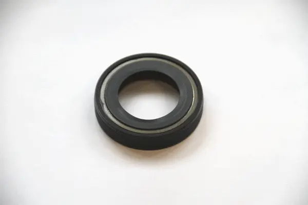 Shaft Seal, differential (20015493B)