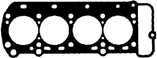 Gasket, cylinder head (414189P)