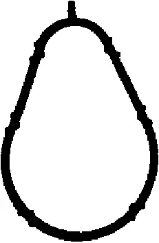 Gasket, intake manifold (450553P)