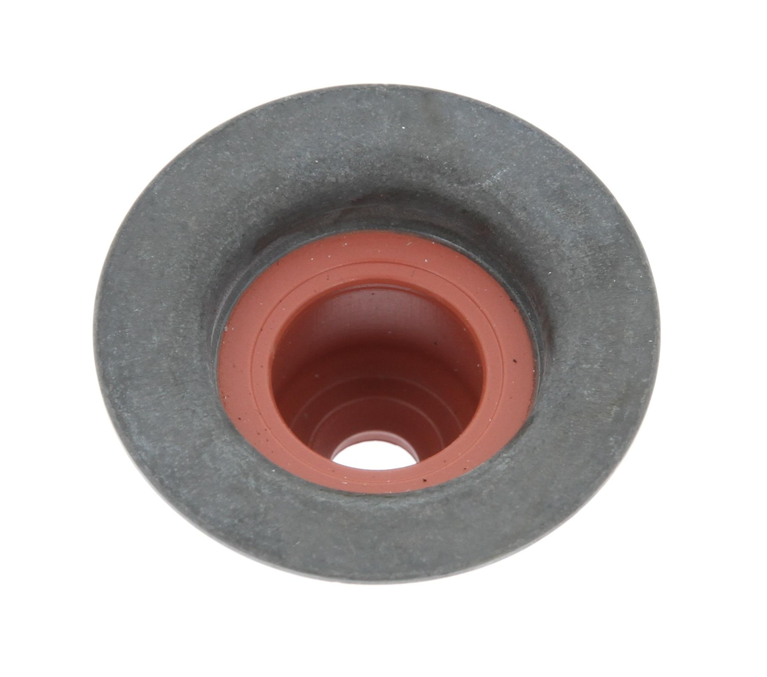 Seal Ring, valve stem