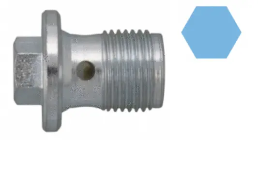 Screw Plug, oil sump (220140S)
