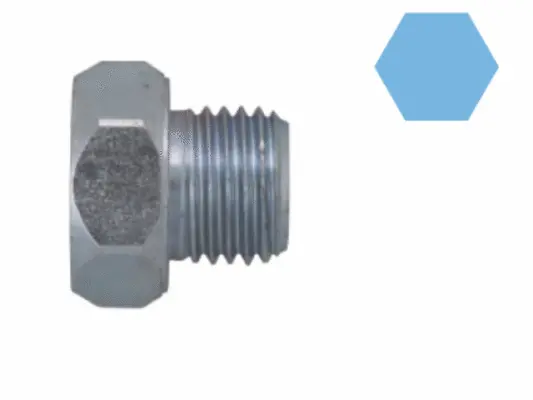 Screw Plug, oil sump (220077H)
