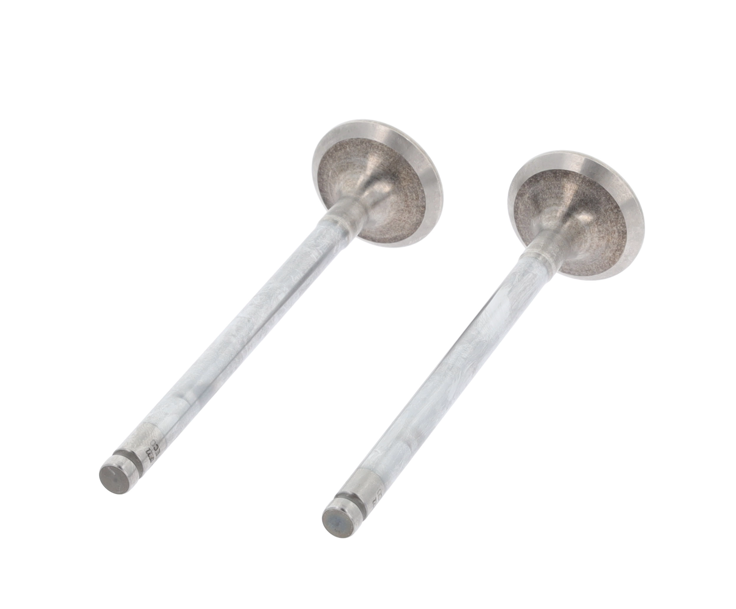Exhaust Valve