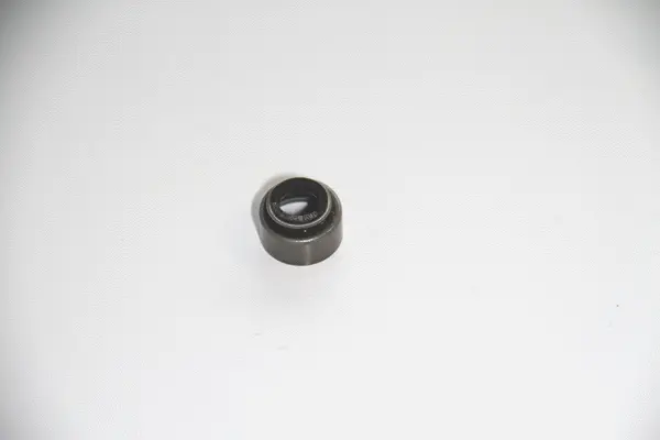 Seal Ring, valve stem (19036949)