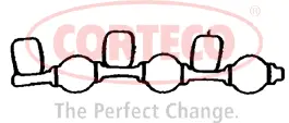 Gasket, intake manifold (450669P)
