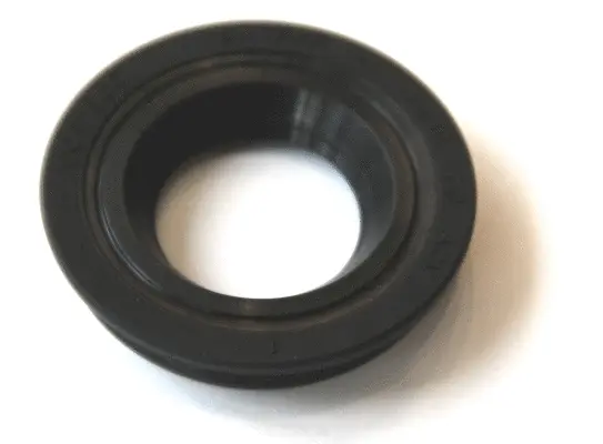 Seal Ring, nozzle holder