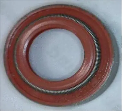 Seal Ring, valve stem (19036763)