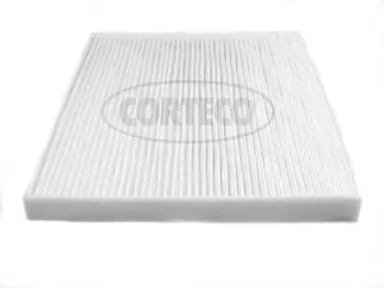 Filter, cabin air (80000541)