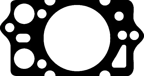 Gasket, cylinder head (414548P)