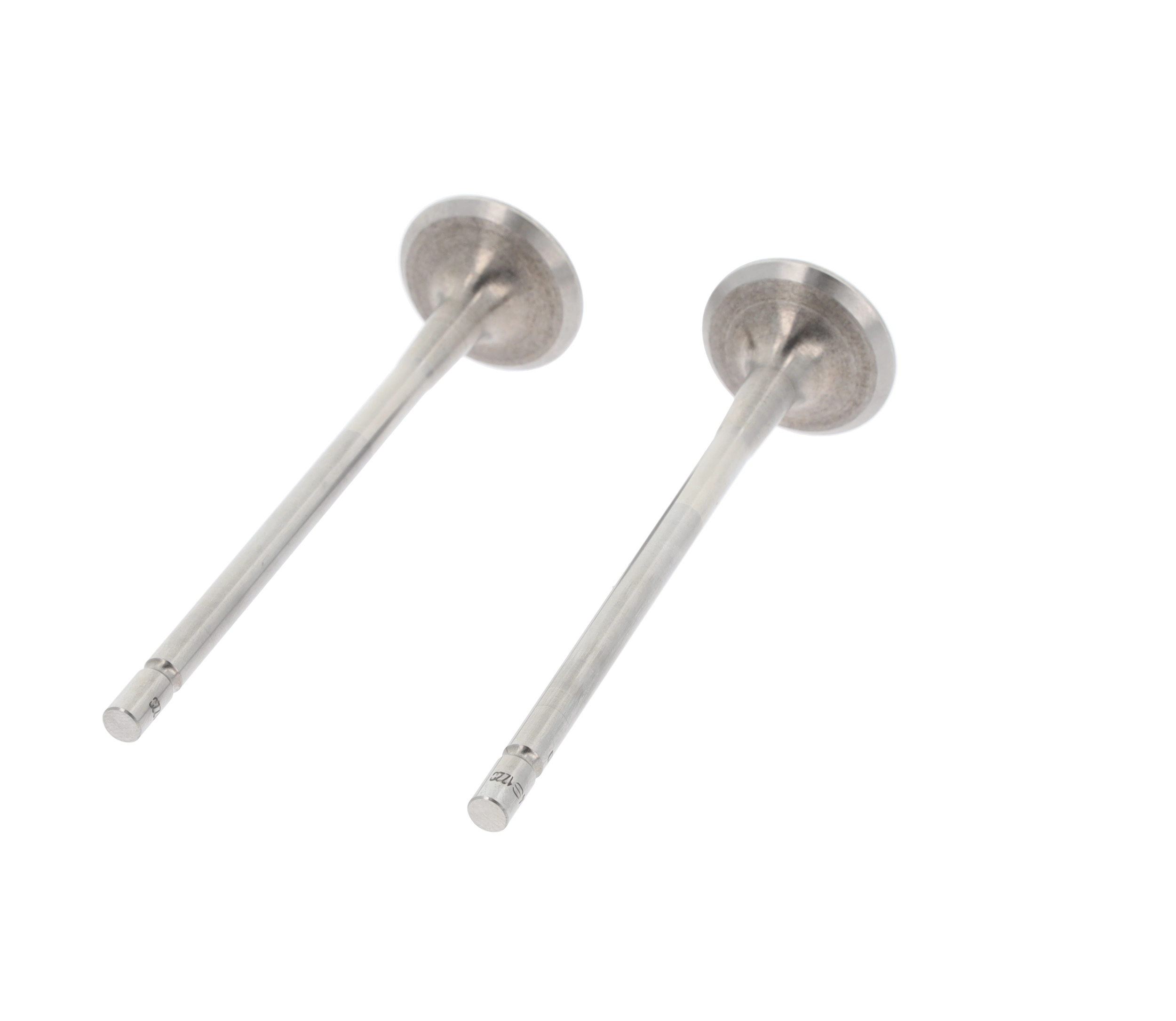 Exhaust Valve