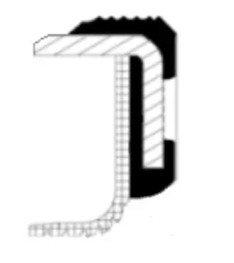 Shaft Seal, crankshaft (19036653B)