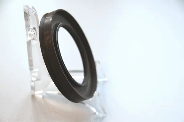 Shaft Seal, differential