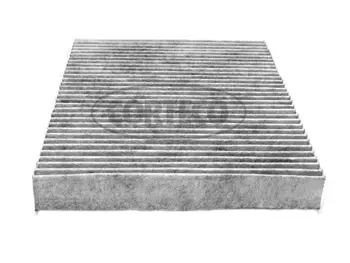 Filter, cabin air (80000622)