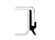 Shaft Seal, differential (20036959B)