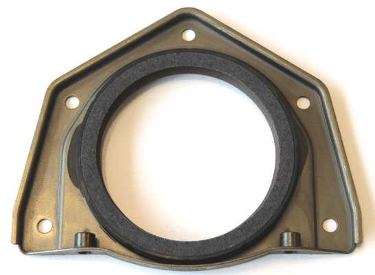 Shaft Seal, crankshaft (49421783)