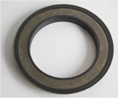 Seal Ring (12017196B)