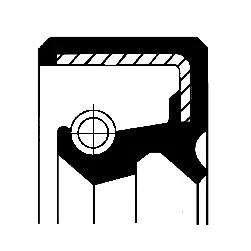 Shaft Seal, crankshaft (82011132)