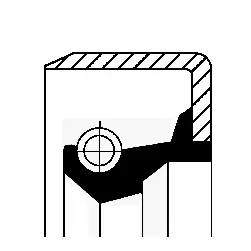 Shaft Seal, differential (19017040B)