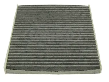Filter, cabin air (80000754)