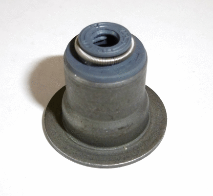 Seal Ring, valve stem (49406518)