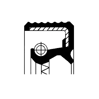 Shaft Seal, differential (07015496B)