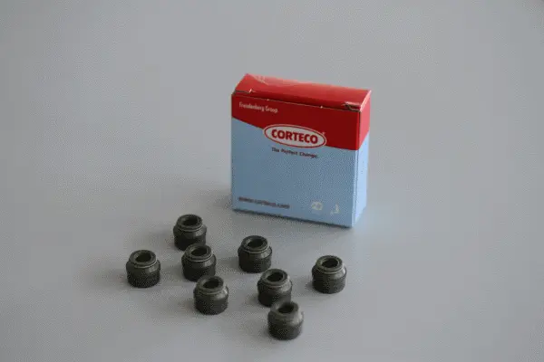 Seal Set, valve stem (19026848)