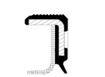 Shaft Seal, crankshaft (20034106B)