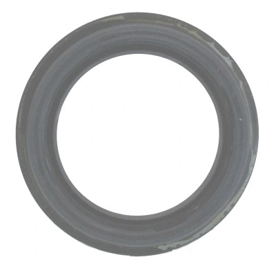Shaft Seal, wheel hub (19016495B)