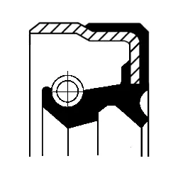 Shaft Seal, wheel hub (01029661B)
