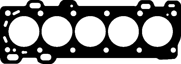 Gasket, cylinder head (414889P)