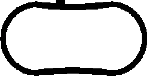 Gasket, intake manifold (450102H)