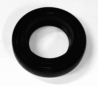 Shaft Seal, differential (12015258B)