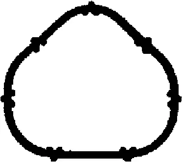 Gasket, intake manifold (423070H)