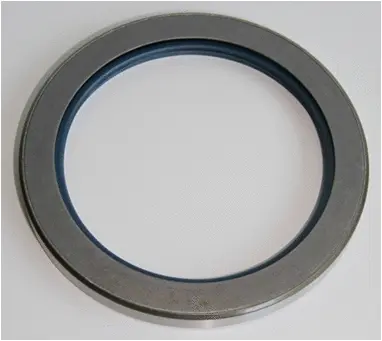 Shaft Seal, wheel hub