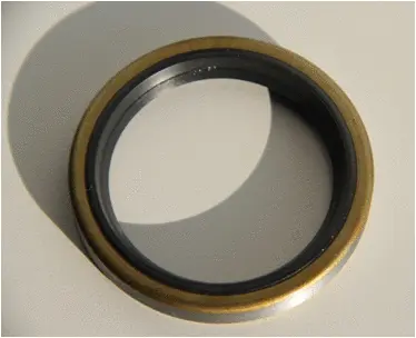 Shaft Seal, differential (01020676B)