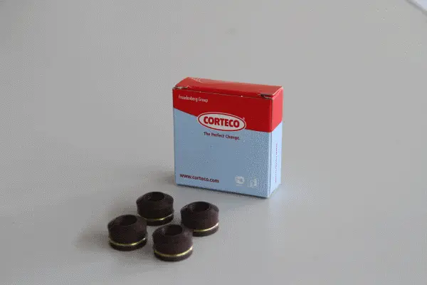 Seal Set, valve stem (19036030)