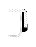 Shaft Seal, crankshaft (19036694B)