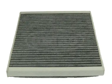Filter, cabin air (80000773)