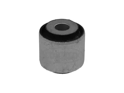 Mounting, axle strut (80001006)