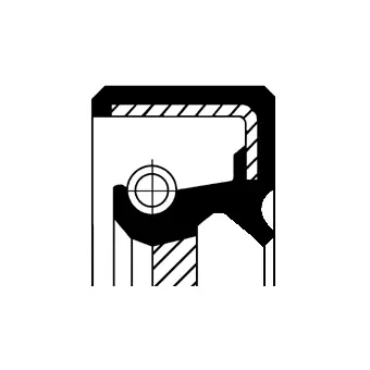 Shaft Seal, crankshaft (12015430B)