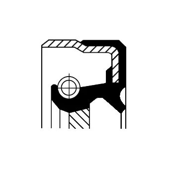 Shaft Seal, crankshaft (12001483B)