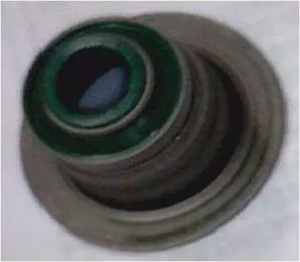 Seal Ring, valve stem (19036759)