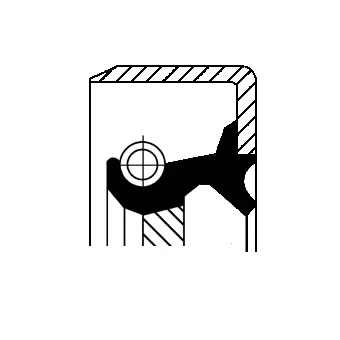 Shaft Seal, crankshaft (12011438B)