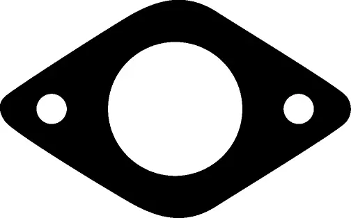 Gasket, exhaust manifold (026629H)