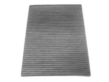 Filter, cabin air (21652854)