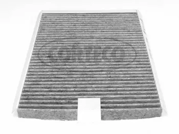 Filter, cabin air (80000431)