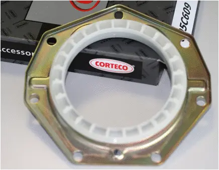 Shaft Seal, crankshaft (19036592B)