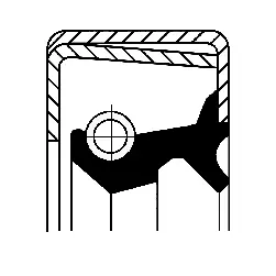 Shaft Seal, wheel hub (19017041B)