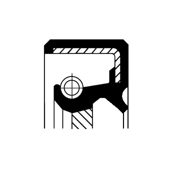 Shaft Seal, power steering pump (19026213B)