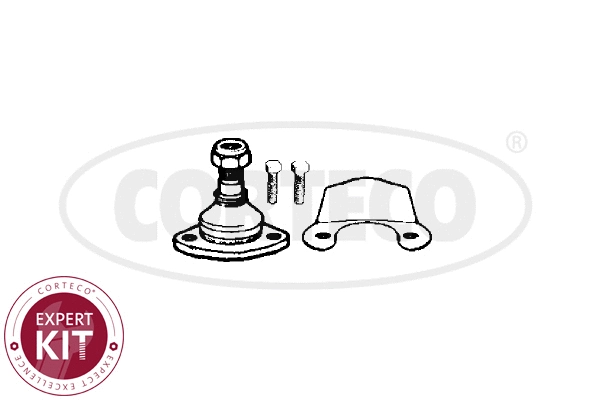 Ball Joint (49401055)